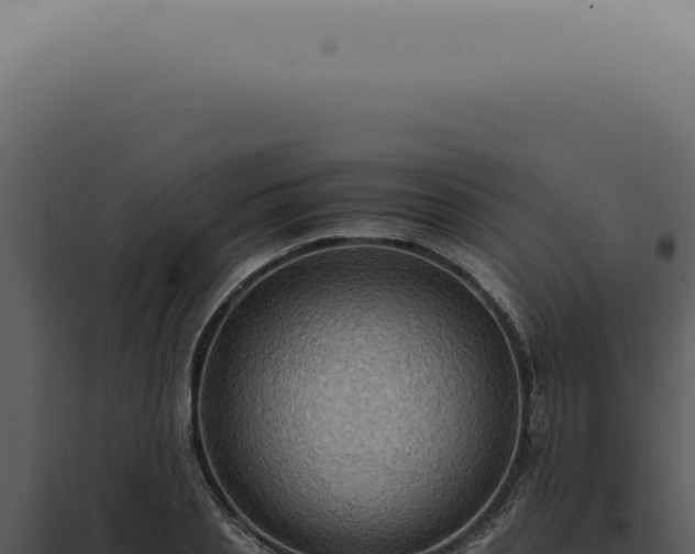 X0000098000837200804011831