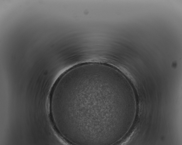 X0000098000838200804011831