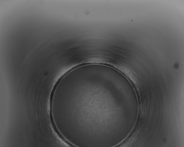 X0000098000839200804011831