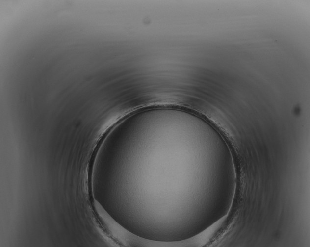 X0000098000842200804011831