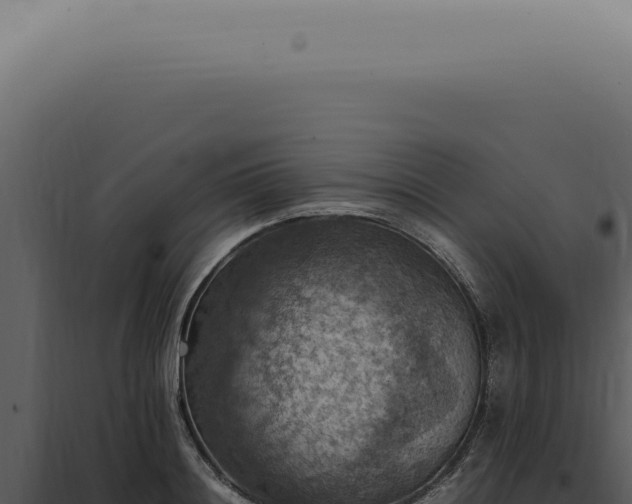 X0000098000844200804011831