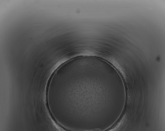 X0000098000845200804011831