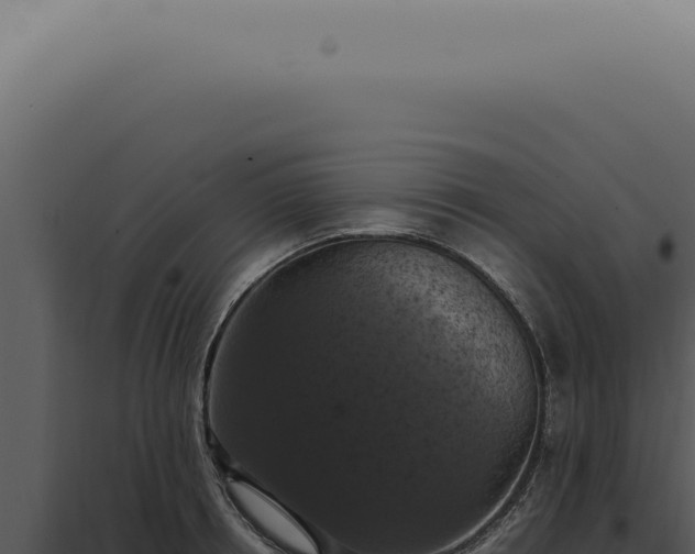 X0000098000850200804011831