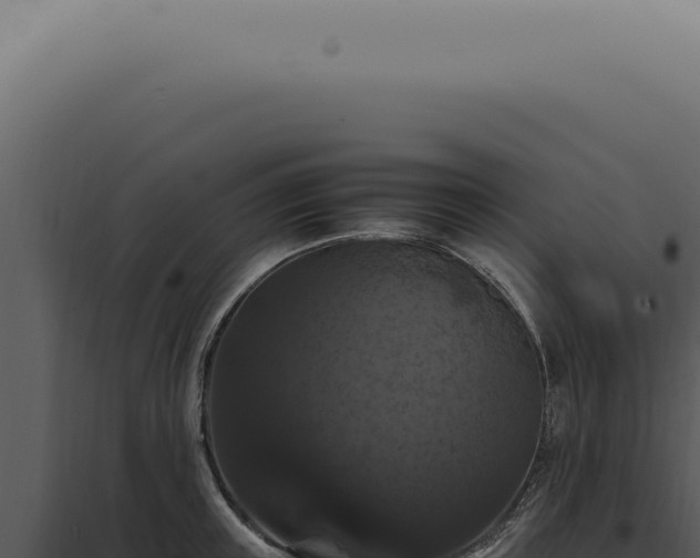X0000098000851200804011831