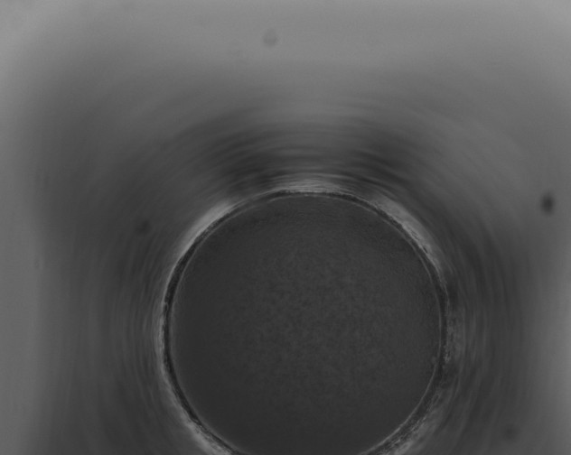 X0000098000853200804011831