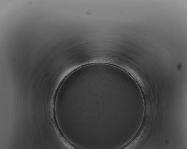 X0000098000854200804011831