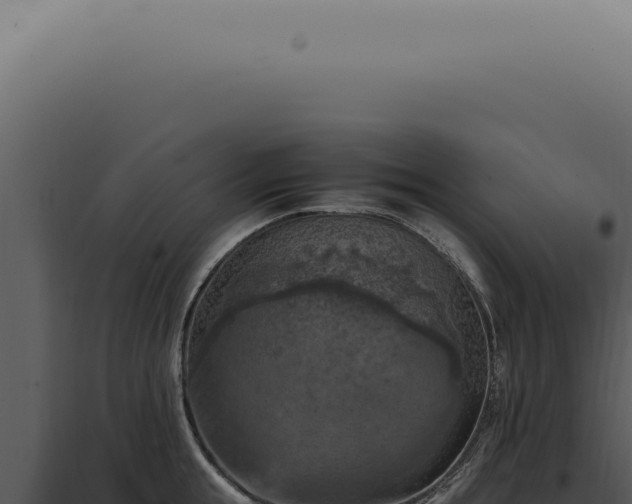X0000098000855200804011831