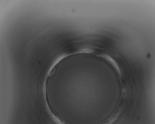 X0000098000859200804011831