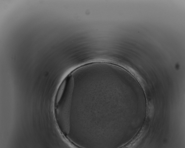X0000098000862200804011831