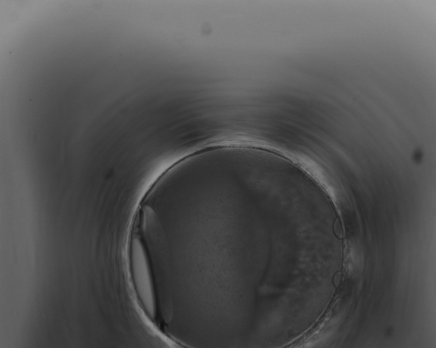X0000098000863200804011831