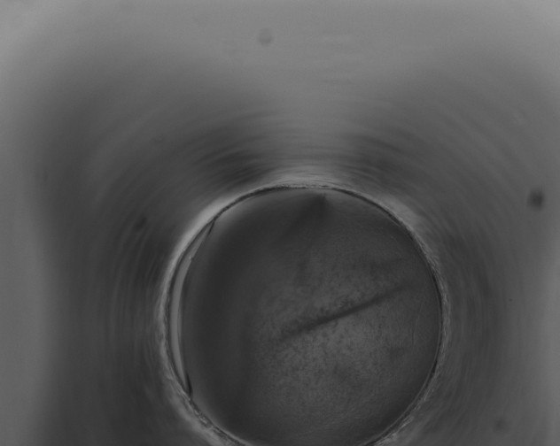 X0000098000864200804011831
