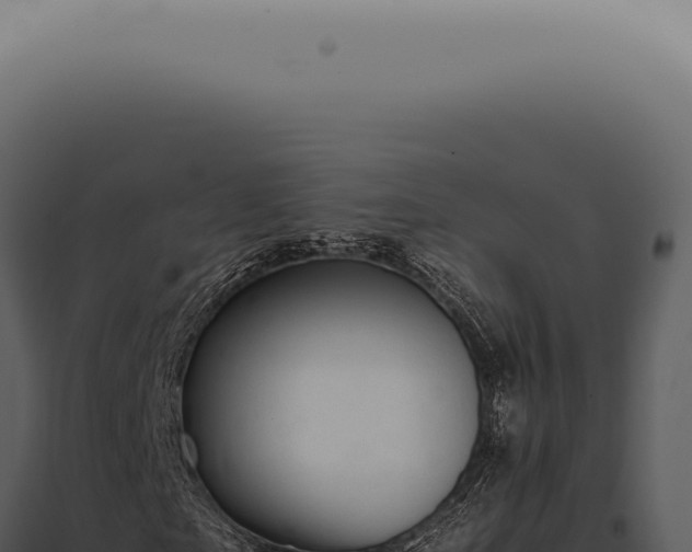 X0000098000865200804011831