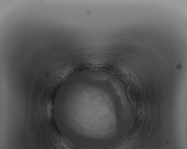 X0000098000866200804011831