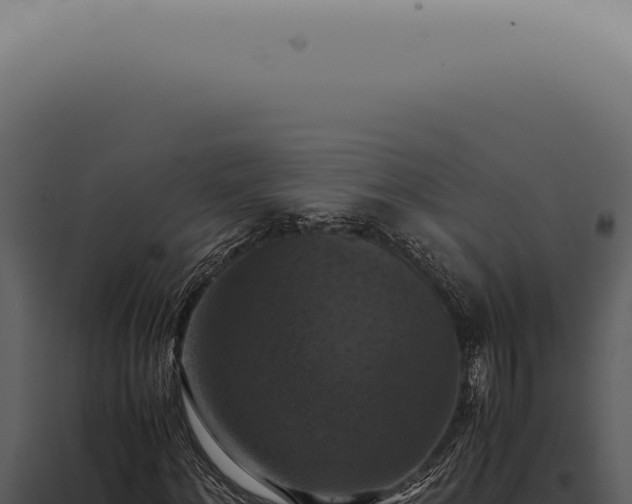 X0000098000868200804011830