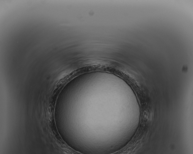 X0000098000869200804011830