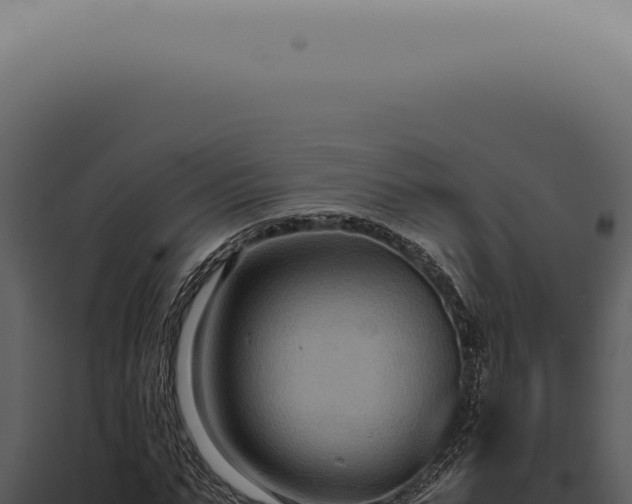 X0000098000871200804011830