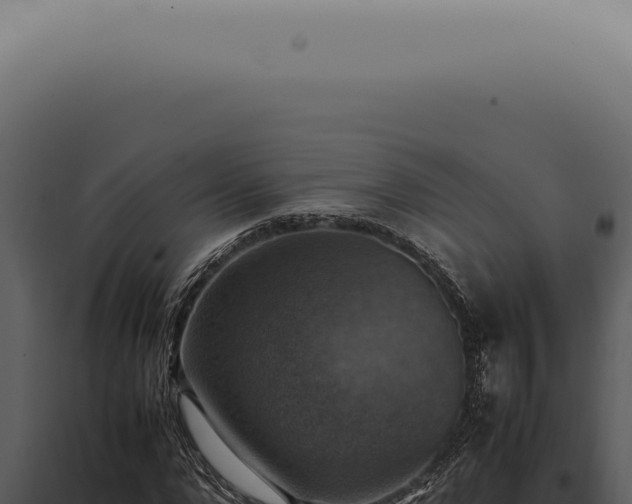 X0000098000872200804011830