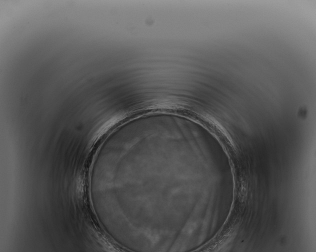X0000098000874200804011830
