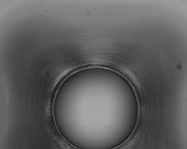 X0000098000875200804011830