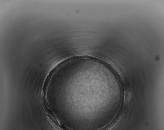 X0000098000876200804011830