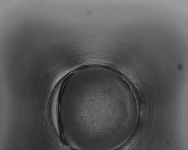 X0000098000877200804011830