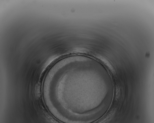 X0000098000878200804011830