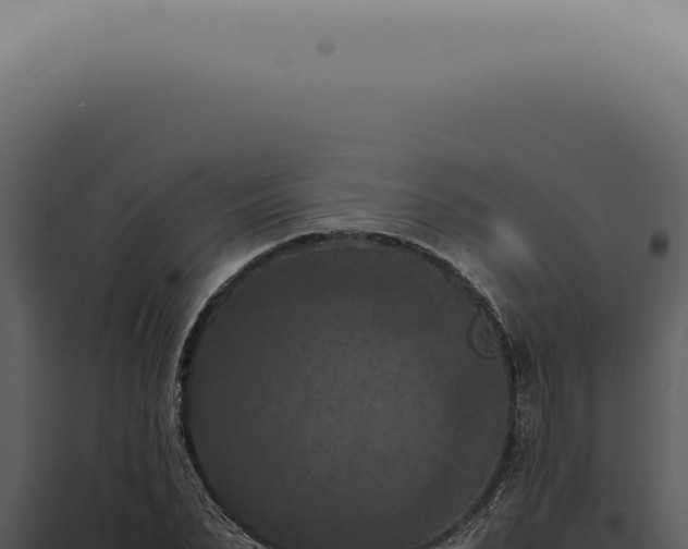 X0000098000879200804011830
