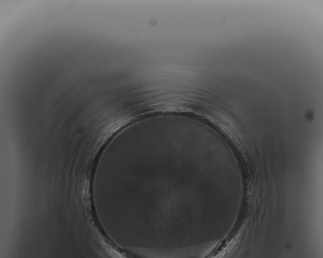 X0000098000881200804011830