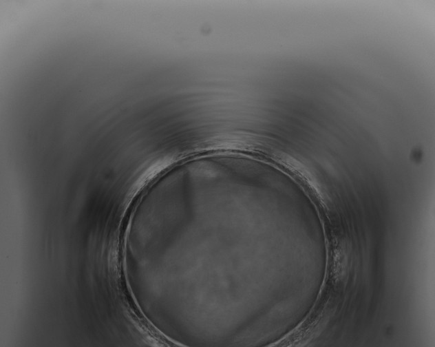 X0000098000882200804011830