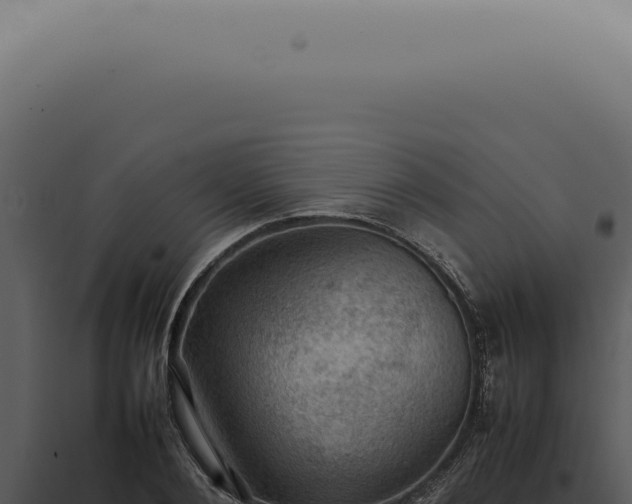 X0000098000884200804011830