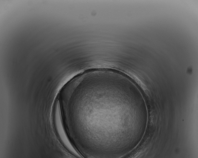 X0000098000885200804011830