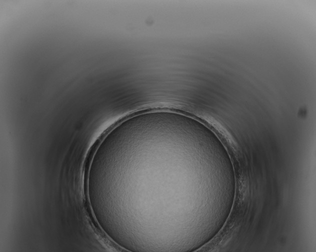 X0000098000886200804011830