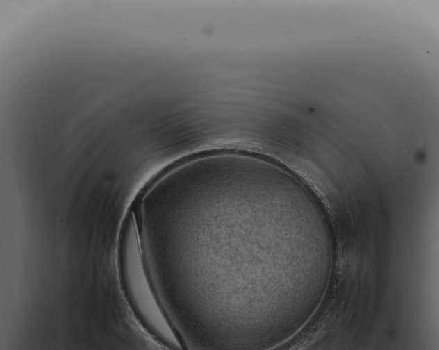 X0000098000888200804011830