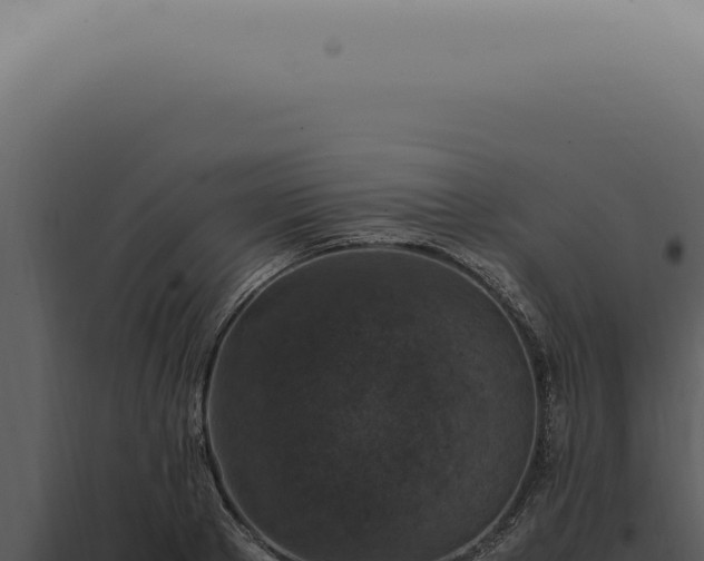 X0000098000889200804011830