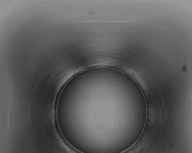 X0000098000890200804011830