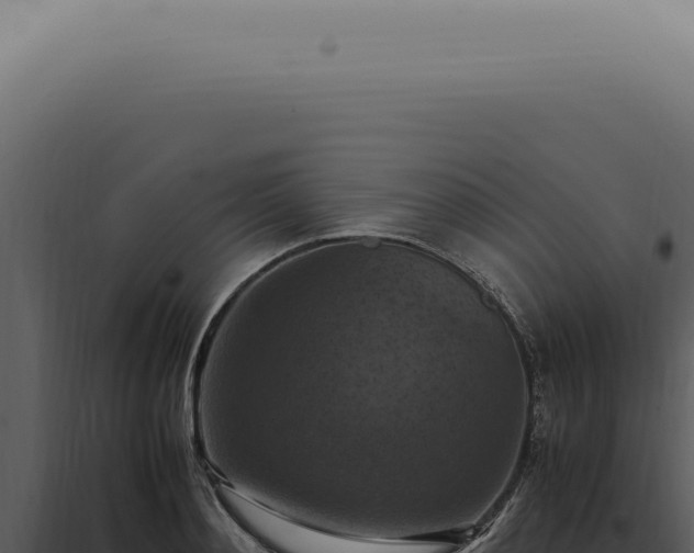 X0000098000892200804011830