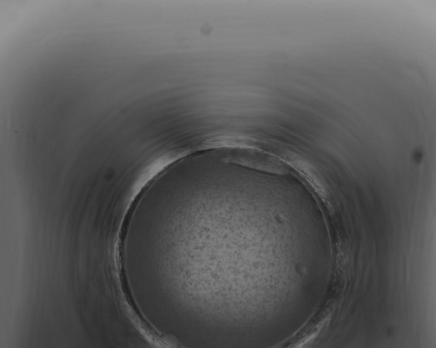 X0000098000893200804011830