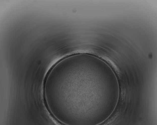 X0000098000894200804011830