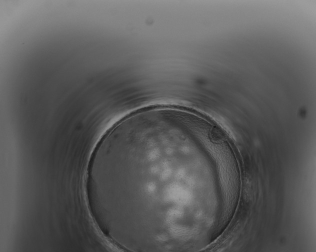 X0000098000895200804011830