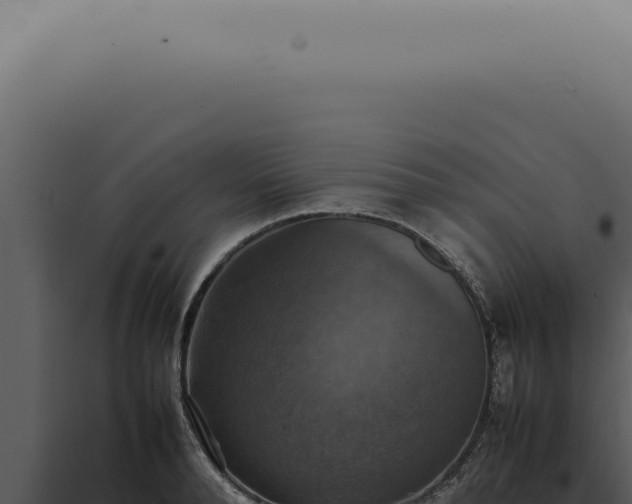 X0000098000896200804011830