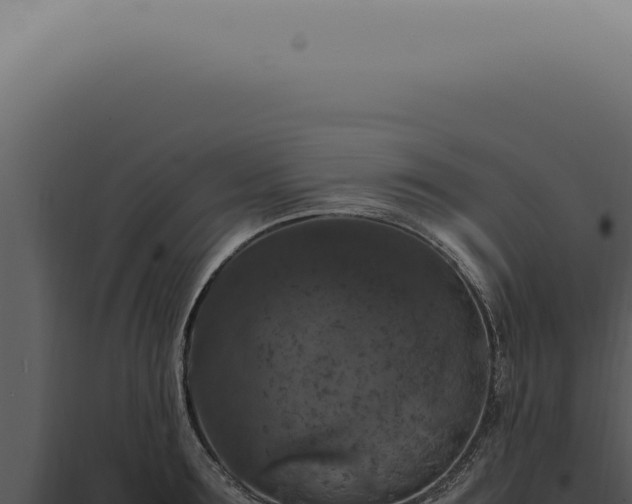 X0000098000899200804011830