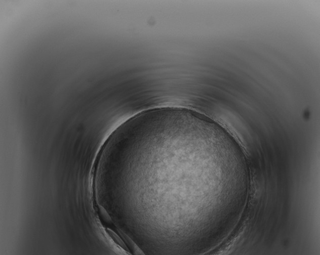 X0000098000900200804011830