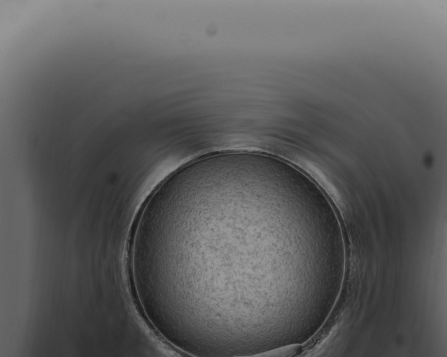 X0000098000901200804011830