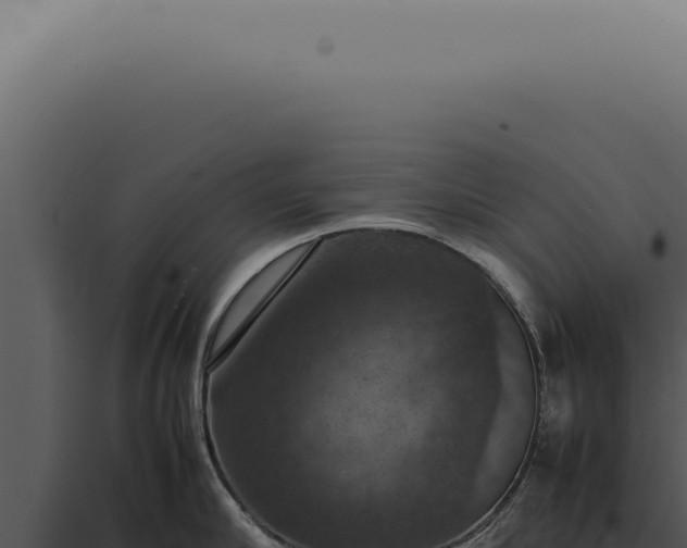 X0000098000910200804011830