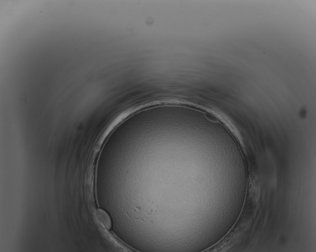 X0000098000911200804011830