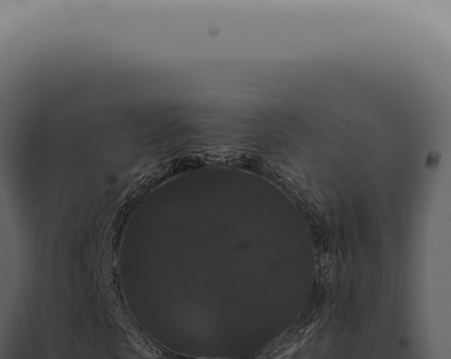 X0000098000913200804011829