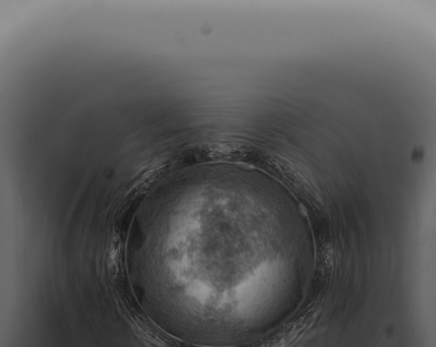 X0000098000914200804011829