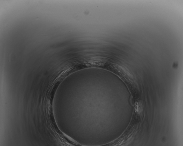 X0000098000915200804011829