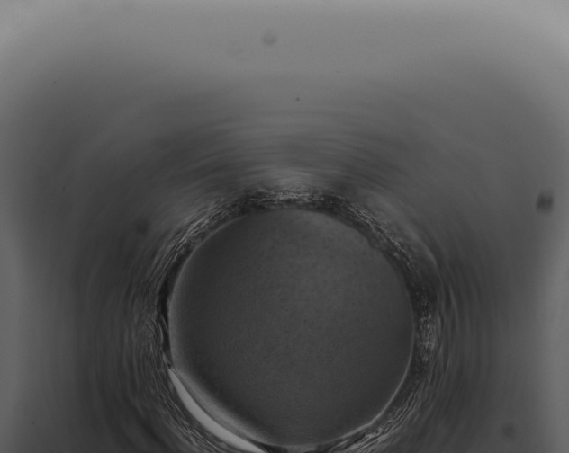 X0000098000916200804011829