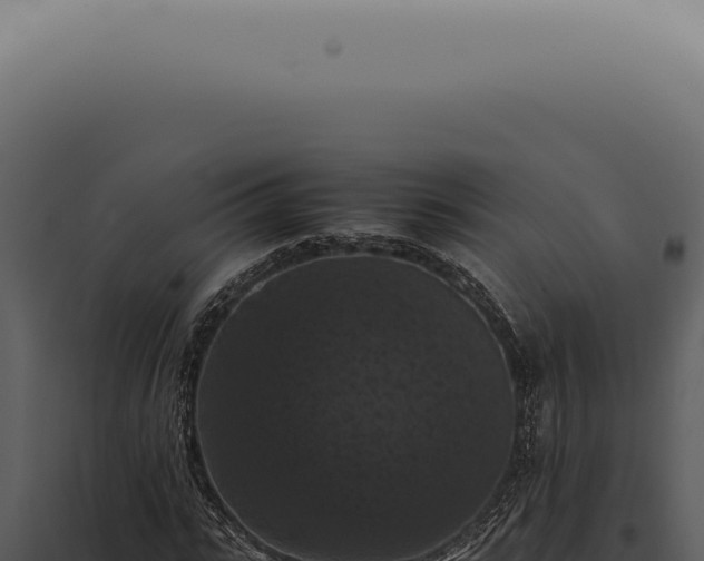 X0000098000919200804011829